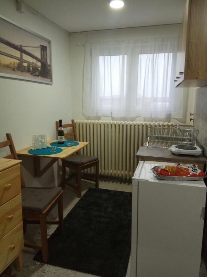 Tatjanina Garsonjera Apartment Subotica Exterior foto
