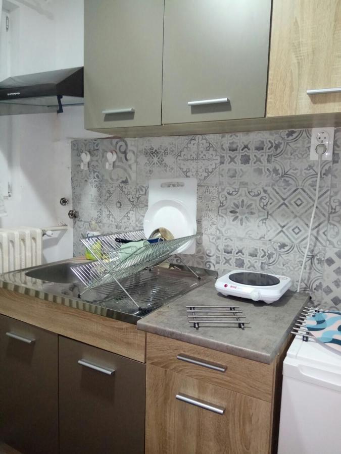 Tatjanina Garsonjera Apartment Subotica Exterior foto